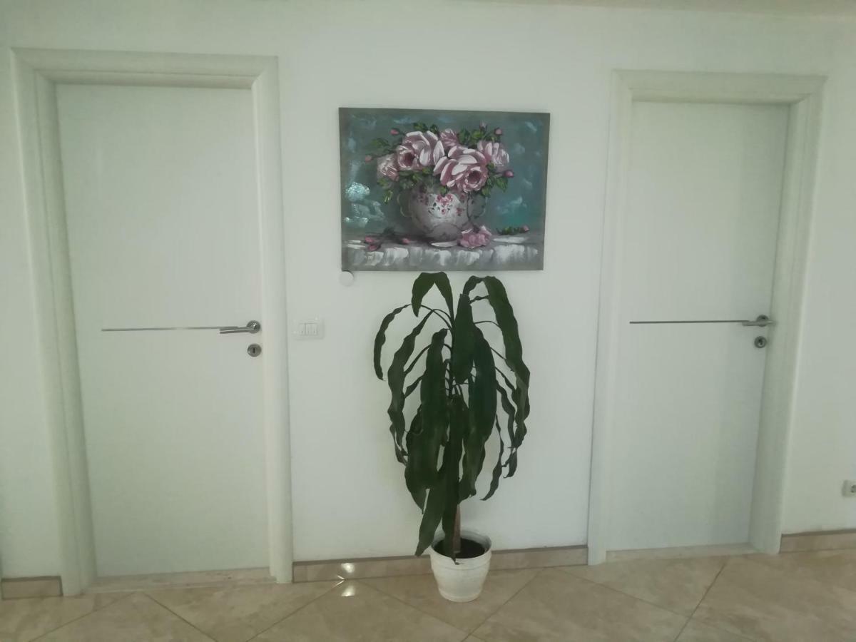 شقة Apartman Daria تروغير المظهر الخارجي الصورة